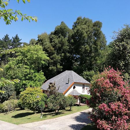 Hogsback Arminel Hotel Kültér fotó