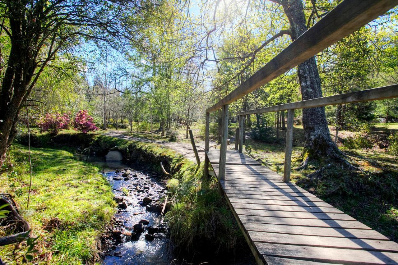 Hogsback Arminel Hotel Kültér fotó