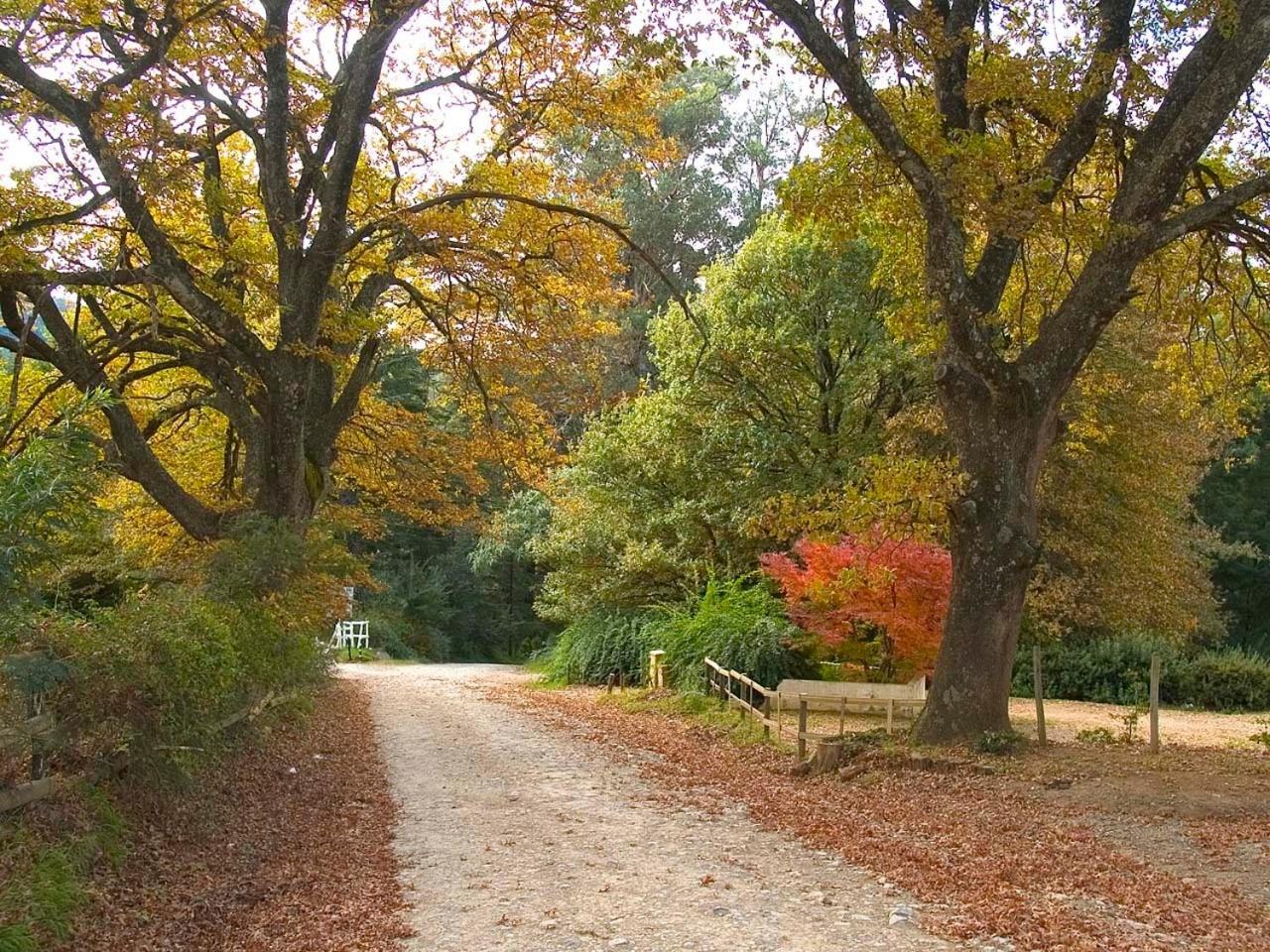 Hogsback Arminel Hotel Kültér fotó
