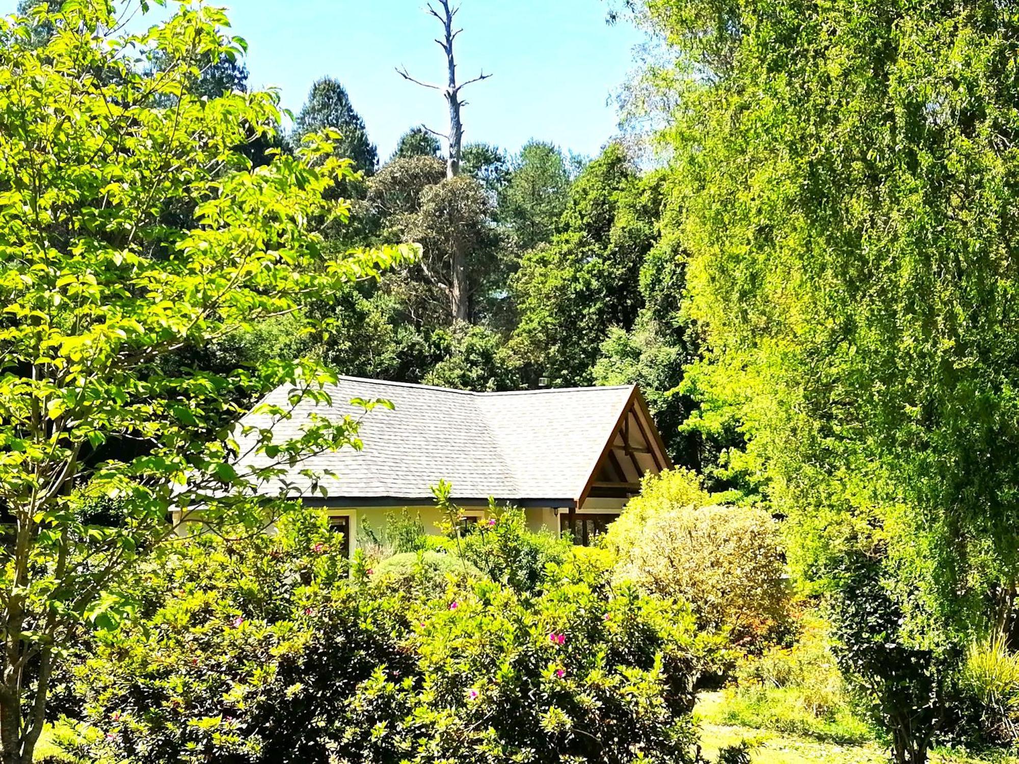Hogsback Arminel Hotel Kültér fotó